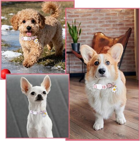 2 PCS Cat Collar with Bell Flower Pendant, Cotton Breakaway Cat Collar Cute Kitten Collars Safety Adjustable Kitten Collars Cats Accessories for Girl Boy Cats in Kuwait