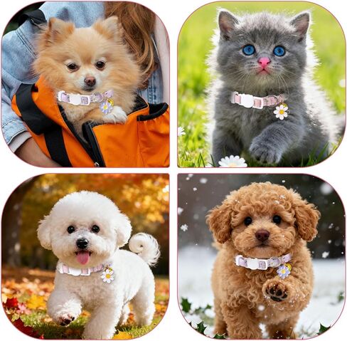 2 PCS Cat Collar with Bell Flower Pendant, Cotton Breakaway Cat Collar Cute Kitten Collars Safety Adjustable Kitten Collars Cats Accessories for Girl Boy Cats in Kuwait