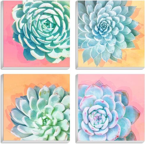 Hlison 4 Pack 10"x 10" Framed Paint by Number for Adults Canvas - Succulent Flowers Framed Paint by Numbers for Adults Kids Beginners - Acrylic Oil Easy Paint by Number Kits on Canvas with Frame in Kuwait