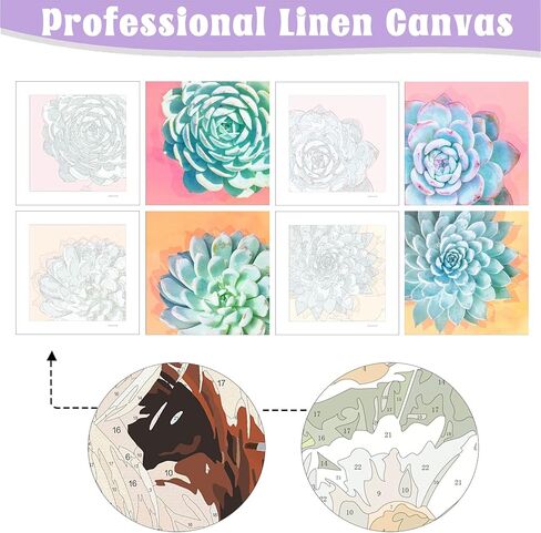 Hlison 4 Pack 10"x 10" Framed Paint by Number for Adults Canvas - Succulent Flowers Framed Paint by Numbers for Adults Kids Beginners - Acrylic Oil Easy Paint by Number Kits on Canvas with Frame in Kuwait