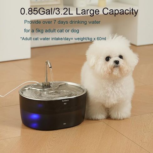 Cat Water Fountain: 108oz/3.2L Cat Fountain Super Silent Pet Drinking Dispenser (Cat Fountain 1 Filtesr + 1 Sponges) in Saudi Arabia