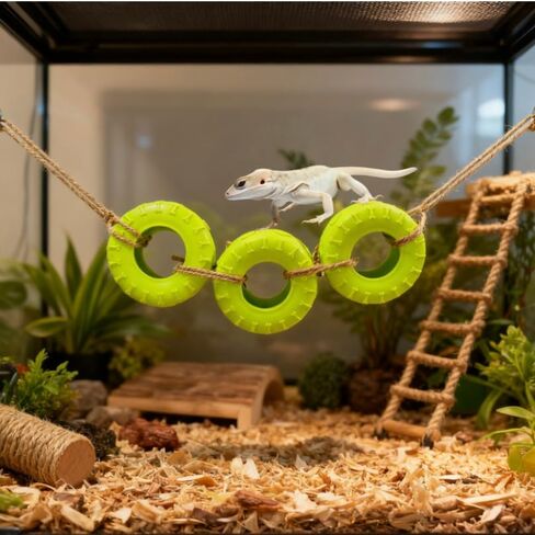 Hermit Crab Climbing Accessories Decor for Reptile Tank Tire Swing for Hermit Crab Chameleon Leopard Gecko Tree Frog Lizard Jumping Spider in Saudi Arabia