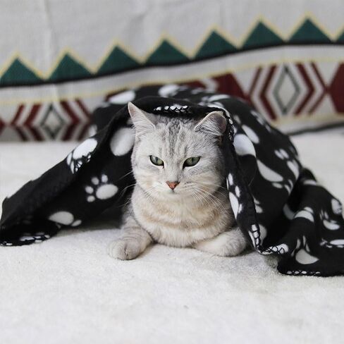 Pet Blankets(39In x 28In), Soft Fleece Dog Cat Blanket with Paw Print, Warm Breathable Cute Sleep Mat Bed Cover for Kitten Puppy and Other Animals, Pet Essentials, Black in Saudi Arabia
