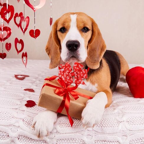 Talltalk 120 Pcs Valentine's Day Dog Bow Ties Collar Set 60 Pink Dog Grooming Bowtie 30 Neckties and 30 Collars for Pet Cat Holiday Accessories in Saudi Arabia