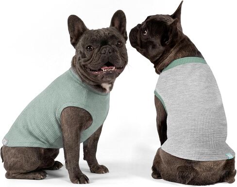 KYEESE 2Pack Waffle Dog Shirt for Small Dogs Striped Dog Sweater Tank Top in Kuwait