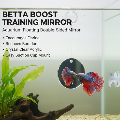 Betta Fish Tank Accessories, 3-Piece Set with 2 Training Rings and 1 Mirror with Floating Ball, Plastic Betta Fish Toys for Aquarium Enrichment in Saudi Arabia