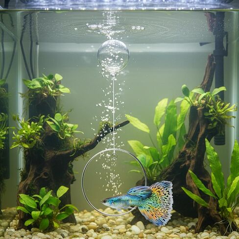 Betta Fish Tank Accessories, 3-Piece Set with 2 Training Rings and 1 Mirror with Floating Ball, Plastic Betta Fish Toys for Aquarium Enrichment in Saudi Arabia