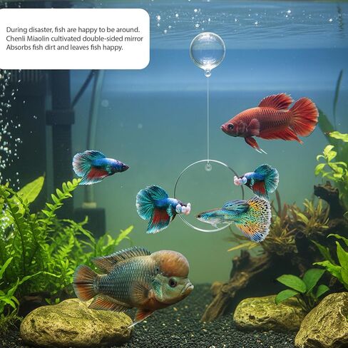 Betta Fish Tank Accessories, 3-Piece Set with 2 Training Rings and 1 Mirror with Floating Ball, Plastic Betta Fish Toys for Aquarium Enrichment in Saudi Arabia