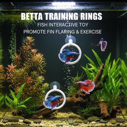 Betta Fish Tank Accessories, 3-Piece Set with 2 Training Rings and 1 Mirror with Floating Ball, Plastic Betta Fish Toys for Aquarium Enrichment in Saudi Arabia