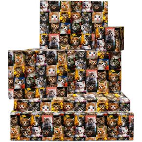 CENTRAL 23 Funny Wrapping Paper - Kittens, Photo Style Style, Photo Stylegraphy - 6 Sheets of Giftwrap for All Ages Family Friends - All Occasion Birthday - Comes With Stickers in Saudi Arabia