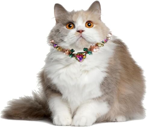 Pet Diamond Necklace, Jewelry Pet Dress up Collar, Rhinestone Necklaces for Small Dogs Collar Accessories, Cat Neck Chain, Cat Crystal Choker in Saudi Arabia