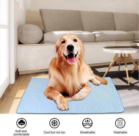 Pet Cooling Mat Ice Silk Washable Cooling Pad Pet Dog Cat Puppy Blanket for Sofa Floors Car Seat(S (50X40cm),Grey) in Saudi Arabia