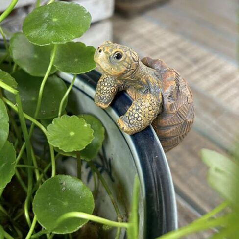 Resin Turtle Planter Hanger,Fun Garden Ornament,Cute Climbing Tortoise Flower Pot Hanger Figurines PlanterPot,for Bonsai Aquariums,Planter Edge Craft Decor,Creative Gift for Plant Parents in Saudi Arabia