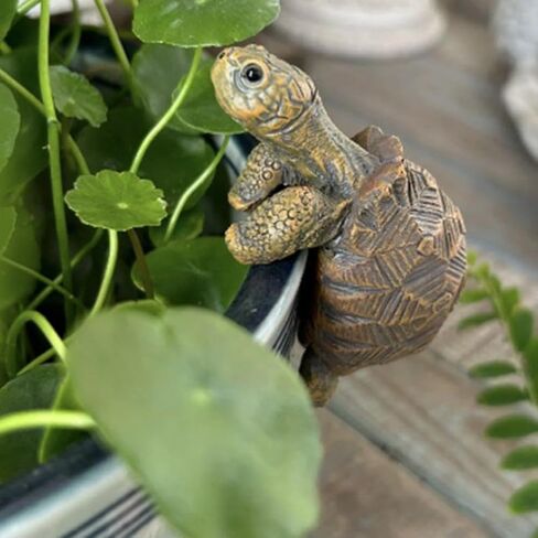 Resin Turtle Planter Hanger,Fun Garden Ornament,Cute Climbing Tortoise Flower Pot Hanger Figurines PlanterPot,for Bonsai Aquariums,Planter Edge Craft Decor,Creative Gift for Plant Parents in Saudi Arabia