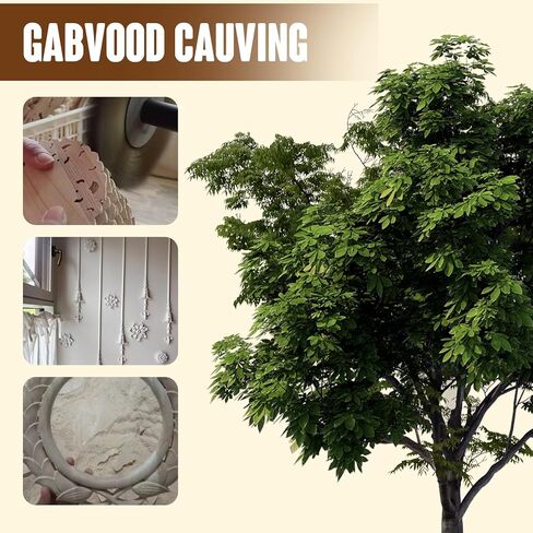 20pcs(4 Pack) Xyloulov Wood Appliques Decorative Carved Onlays, Wooden Carved Appliques DIY Decoration for Furniture, Wood Carving Decals for Wall Cupboard Door Bed Cabinet in Saudi Arabia