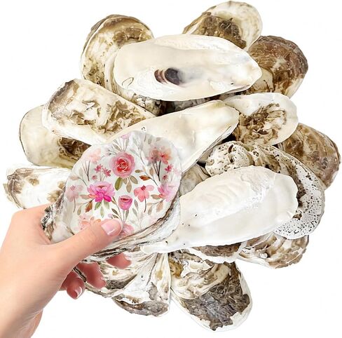25PCS Flat Oyster Shells for Crafts,4"-5" Natural Large Flat Oyster Shells Bulk,for Home Vase Filler, Xmas Ornaments, DIY Arts and Crafts Sea,Gift 50 Stickers in Saudi Arabia