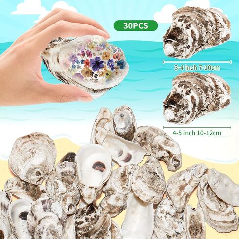 25PCS Flat Oyster Shells for Crafts,4"-5" Natural Large Flat Oyster Shells Bulk,for Home Vase Filler, Xmas Ornaments, DIY Arts and Crafts Sea,Gift 50 Stickers in Saudi Arabia