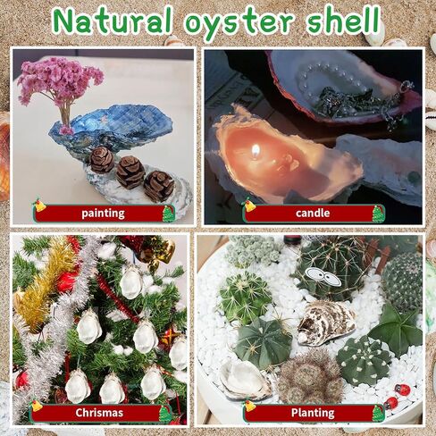 25PCS Flat Oyster Shells for Crafts,4"-5" Natural Large Flat Oyster Shells Bulk,for Home Vase Filler, Xmas Ornaments, DIY Arts and Crafts Sea,Gift 50 Stickers in Saudi Arabia