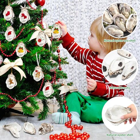 25PCS Flat Oyster Shells for Crafts,4"-5" Natural Large Flat Oyster Shells Bulk,for Home Vase Filler, Xmas Ornaments, DIY Arts and Crafts Sea,Gift 50 Stickers in Saudi Arabia