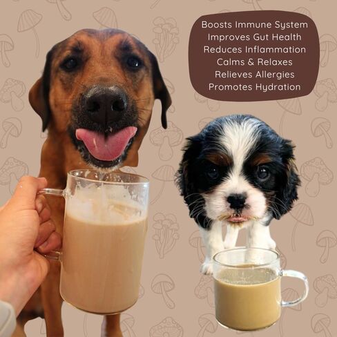 K9-Cups - Coffee for Dogs, Caramel Latte Dog Treat Beverage - Single Serve Latte K-Cups Pods for Keurig, 10 Count | All Natural, Human Grade, No Caffeine, Goats Milk + Mushrooms in Saudi Arabia