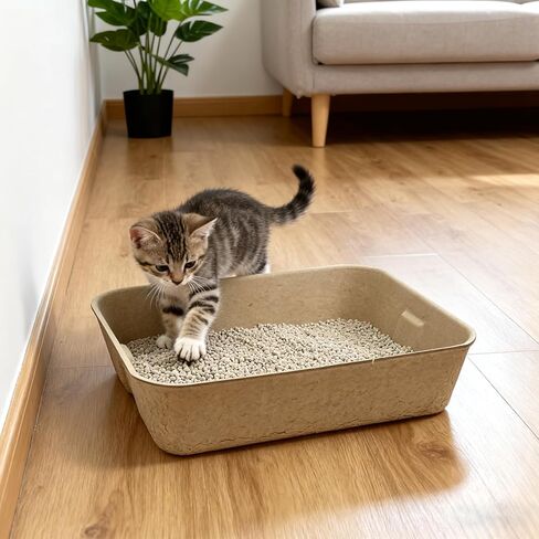 6 عبوات من صناديق فضلات القطط الكبيرة للاستعمال مرة واحدة، صندوق فضلات السفر للقطط، صندوق فضلات محمول للسكن المؤقت، صناديق فضلات للتحكم في الرائحة للقطط والهامستر وخنزير غينيا والأرنب in Kuwait