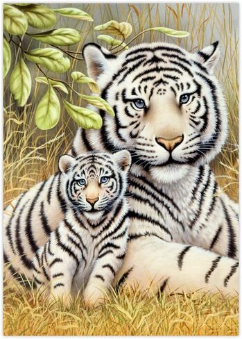 طقم طلاء صغير من Royal & Langnickel Junior حسب الأرقام، 8-3/4"X11-3/4-White Tiger Pair in Saudi Arabia