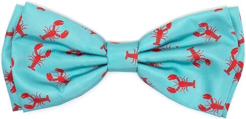 THE WORTHY DOG Pet Bow Tie for Dogs & Cats – Soft Printed Polyester Collar Bow Tie with Touch Fastener, Attaches to Any Collar - Chomp Pattern, Blue, Small in Saudi Arabia