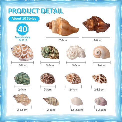 Hermit Crab Shells 40 PCS Natural Sea Conch for Replacement Shells and Small Fish Breeding Houses Conch Size 1-9 cm，Opening Size 0.5-3cm，for DIY Crafting Vase Fillers Party Home Seaside Decoration in Saudi Arabia