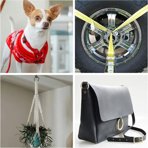 CooBigo 12Pack 2" O Rings Metal Buckle Loops Crafts Purse Bag Webbing Strap Backpack Making Dog Leash Collar Hardware (Large, Assorted Color) in Saudi Arabia