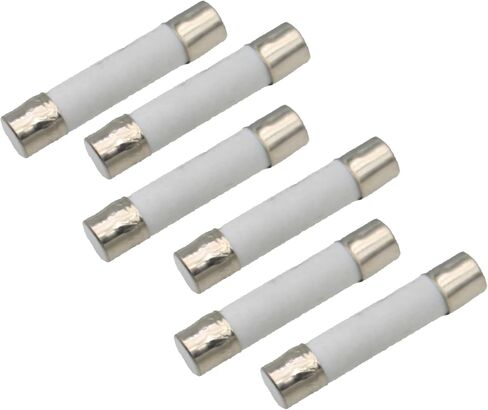 FDXGYH 6 PCS Microwave Fuse 6 x 30mm 20 Amp 250V Slow Blow Ceramic Cartridge Fuse for Most Microwave Circuit Repair in Saudi Arabia