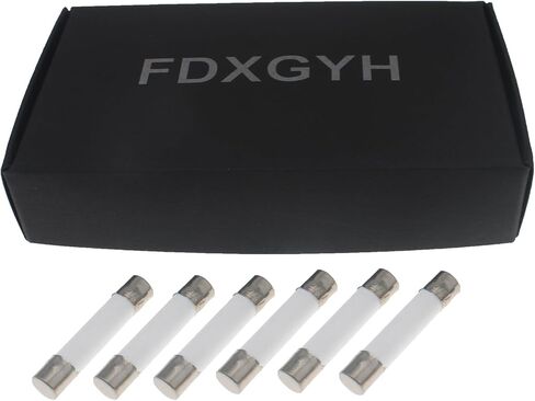 FDXGYH 6 PCS Microwave Fuse 6 x 30mm 20 Amp 250V Slow Blow Ceramic Cartridge Fuse for Most Microwave Circuit Repair in Saudi Arabia