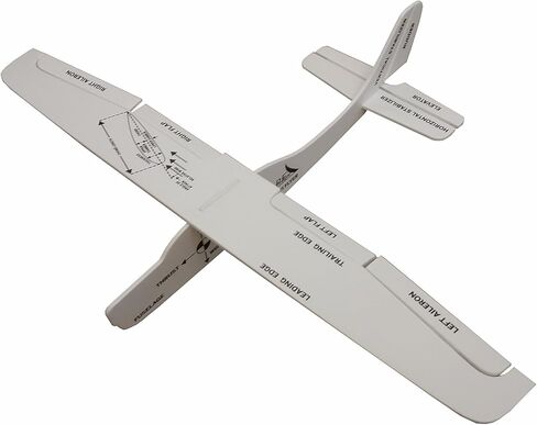 CFI Flyer Instructional Model - Single & Multi Engine in Saudi Arabia
