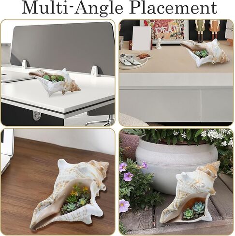 صدفة محارة طبيعية عملاقة، صدفة محارة كبيرة لحشو المزهرية (6-7 بوصة)، ديكور خزان الأسماك، نباتات الهواء، ديكور الزفاف وحفلات الشاطئ in Kuwait