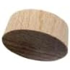 3/4 Inch Flat Head Birch Wood Plugs for DIY Woodworking, Premium Quality, Smooth Finish (20) in Kuwait
