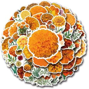 ملصقات ساكورا، عبوة مكونة من 50 قطعة، ملصقات فينيل مقاومة للماء بزهرة الكرز لأجهزة الكمبيوتر المحمول، قارورة مائية، ملصقات هاتف لزجاجة المياه للمراهقين، ملصقات متينة لمستلزمات الحفلات كهدايا (ساكورا) in Kuwait