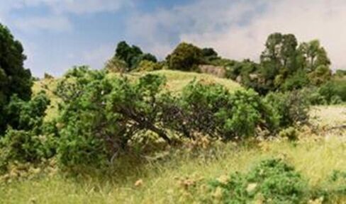 Woodland Scenics Briar Patch-Medium Green -FS638 in Saudi Arabia