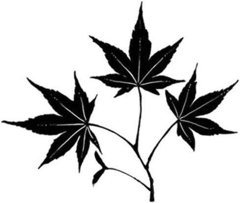 طوابع لافينيا - ميني ليف 5 in Kuwait