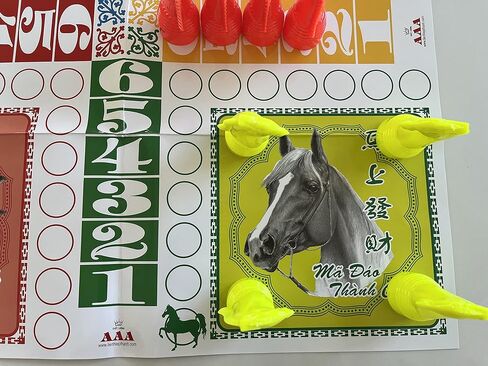 Co Dua Ngua - Horse Race Chess- Seahorse Game-Co Ca Ngua in Saudi Arabia