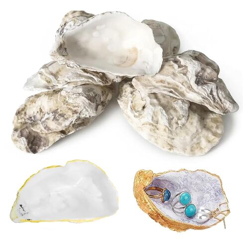 Oyster Shells for Crafts Set of 10, 4"-5" Large Oyster Shells, Concave Shell for Painting, Beach Themes, Candle Making, Home Decoration and Sea Shell for Crafting in Saudi Arabia