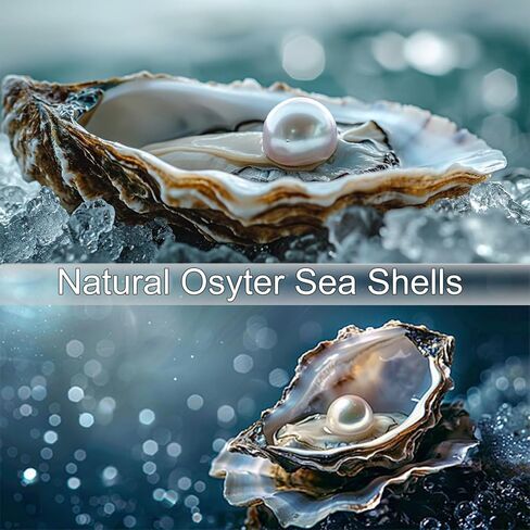 Oyster Shells for Crafts Set of 10, 4"-5" Large Oyster Shells, Concave Shell for Painting, Beach Themes, Candle Making, Home Decoration and Sea Shell for Crafting in Saudi Arabia