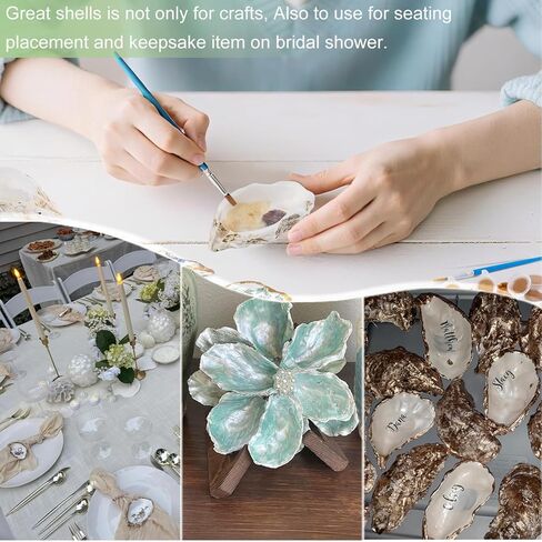 Oyster Shells for Crafts Set of 10, 4"-5" Large Oyster Shells, Concave Shell for Painting, Beach Themes, Candle Making, Home Decoration and Sea Shell for Crafting in Saudi Arabia