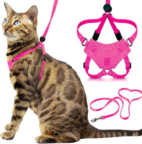 Houdini™ Escape Resistant Cat Harness and Leash Set by OutdoorBengal for Walking Cats (M) in Saudi Arabia