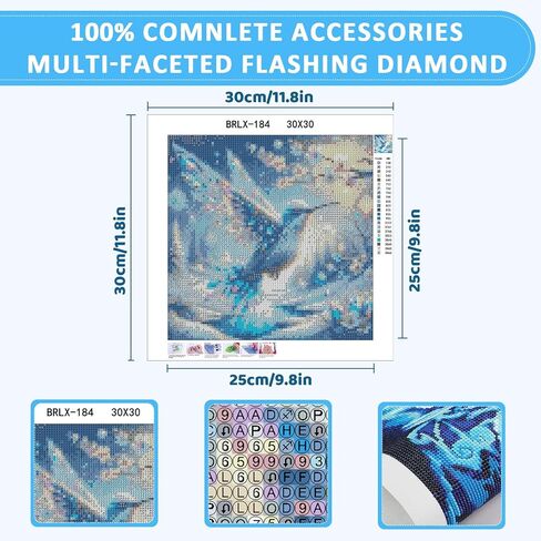 مجموعات الطلاء الماسي 5D من Skyboda Hummingbird للبالغين، طقم فني ماسي للشتاء الطنان للمبتدئين، نقاط ماسية دائرية كاملة مع أحجار كريمة فنية لتزيين جدران المنزل مقاس 12 × 12 بوصة in Kuwait