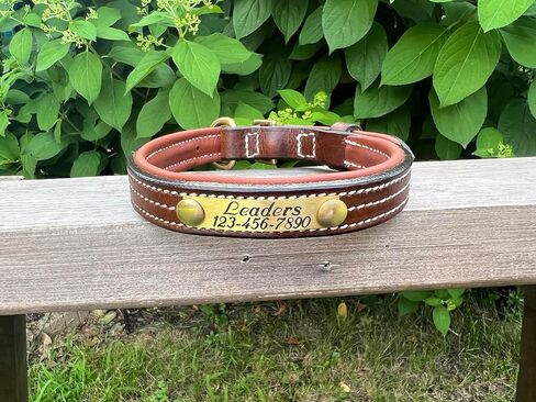 Leaders Leather Dog Collar with Customized Name Plate (Large (17"-21")) in Kuwait