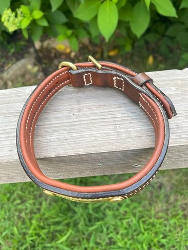 Leaders Leather Dog Collar with Customized Name Plate (Large (17"-21")) in Kuwait