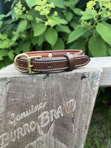 Leaders Leather Dog Collar with Customized Name Plate (Large (17"-21")) in Kuwait