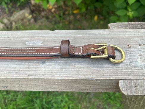 Leaders Leather Dog Collar with Customized Name Plate (Large (17"-21")) in Kuwait