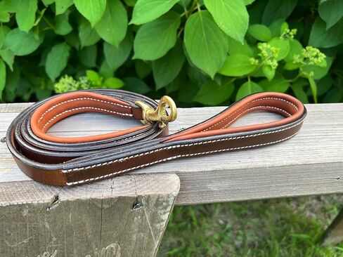 Leaders Leather Dog Collar with Customized Name Plate (Large (17"-21")) in Kuwait