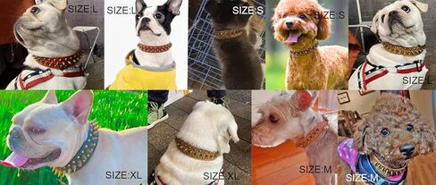 Spiked Studded Dog Collar, Anti-bite PU Leather Collar for Small Medium Large Dogs (Brown, XL) in Saudi Arabia