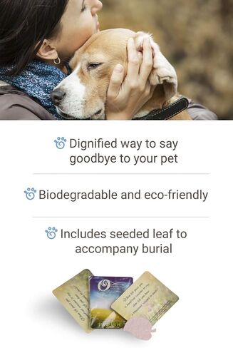 Paw Pods Pet Fish Casket | Biodegradable Fish Casket With Sympathy Card And Seeded Leaf | Plant The Seed For A Living Memorial Pet Grave Marker | Fish Pod Fish Coffin in Saudi Arabia